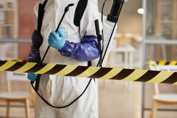 Professional Sewage Cleanup technician working in Morganville, NJ
